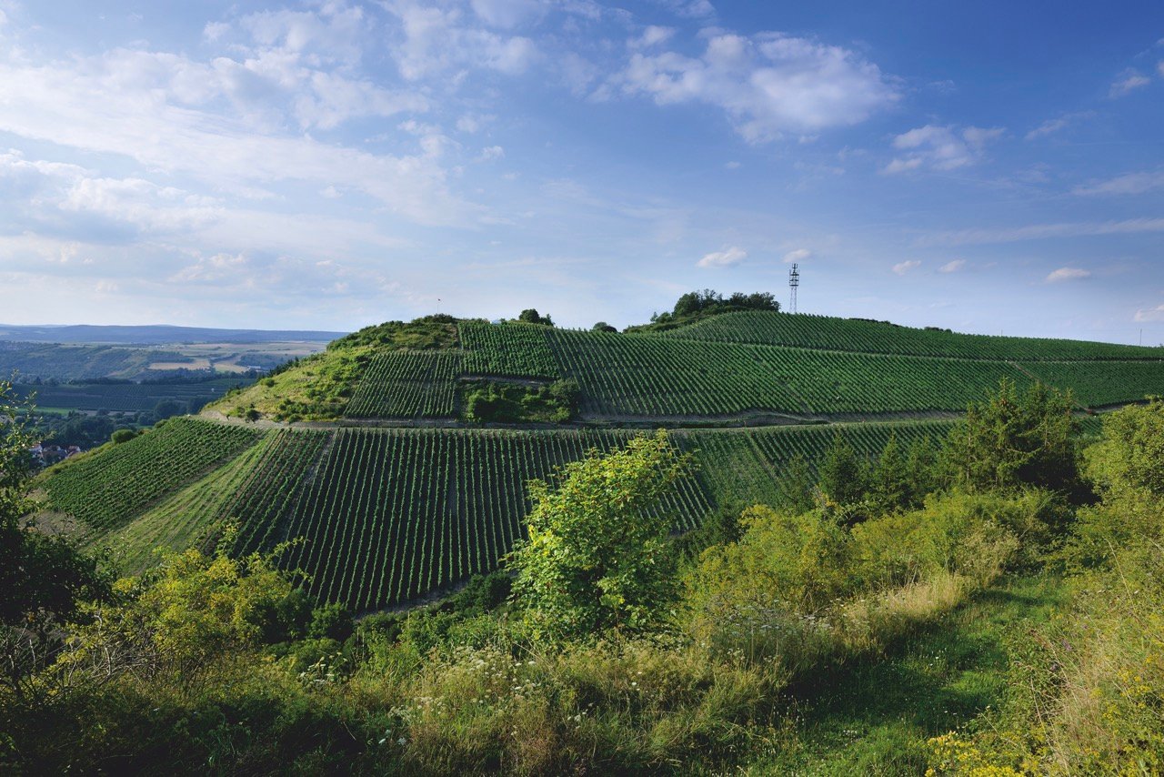 Die Krone | Sommerfest 2025